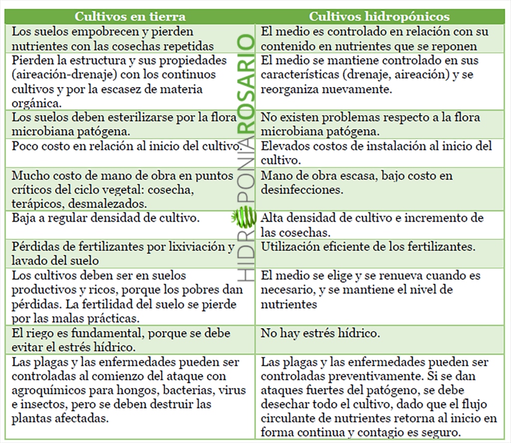Cultivos en Tierra vs. Cultivos Hidropónicos: Diferencias y Ventajas